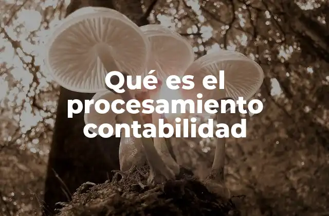 Qué es el Procesamiento Contabilidad