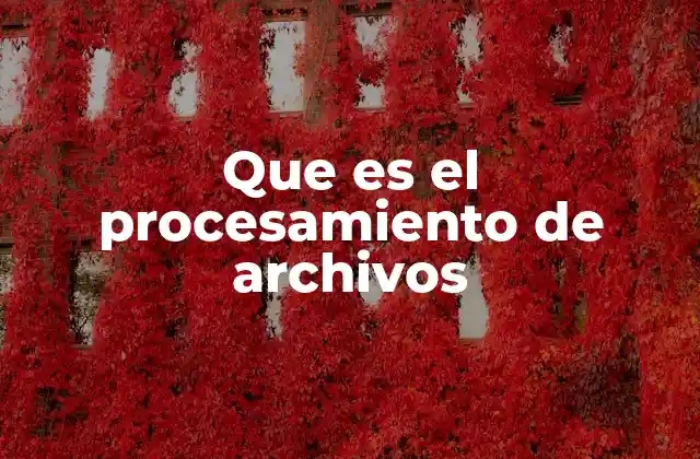 Que es el Procesamiento de Archivos 2 La importancia del manejo estructurado de datos