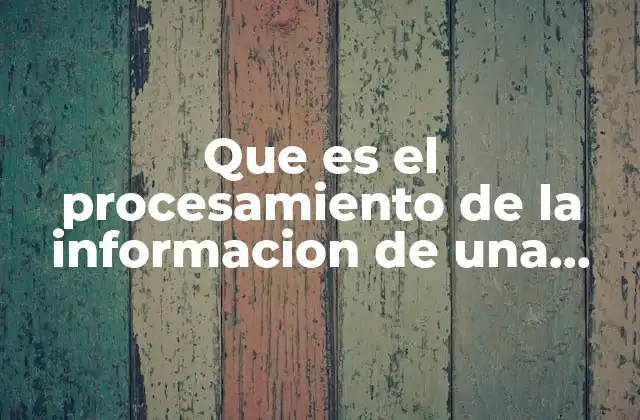 Que es el Procesamiento de la Informacion de una Muestras