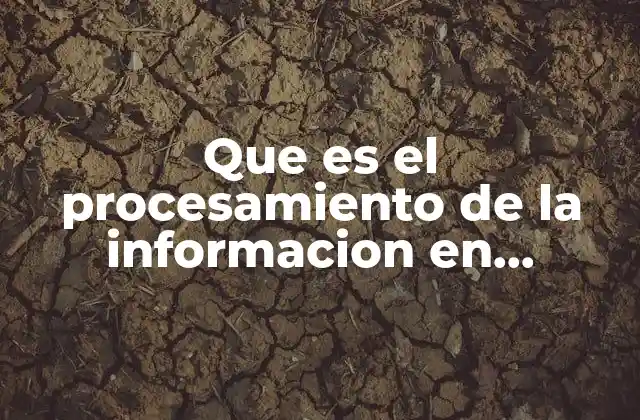 Que es el Procesamiento de la Informacion en Computacion