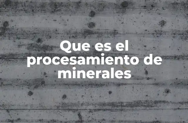 Que es el Procesamiento de Minerales