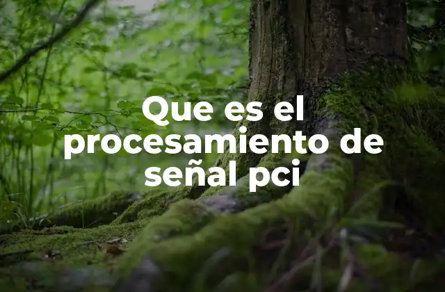 Que es el Procesamiento de Señal Pci