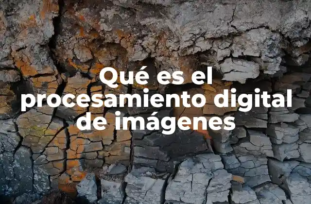 Qué es el Procesamiento Digital de Imágenes