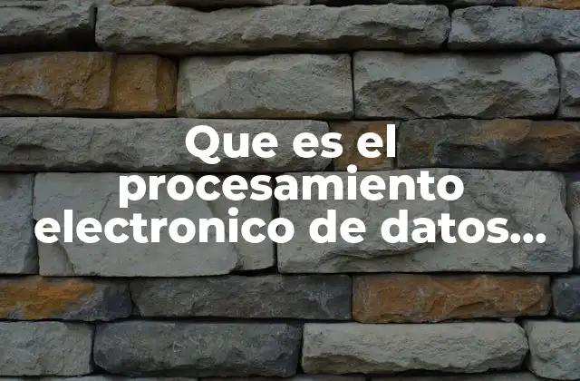 Que es el Procesamiento Electronico de Datos Ped