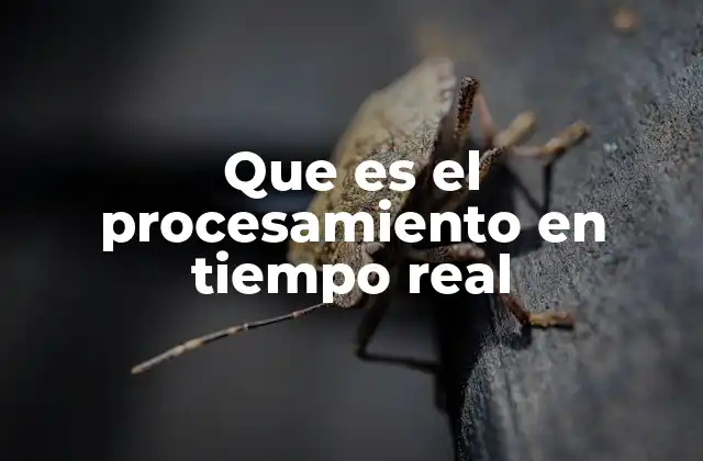 Que es el Procesamiento en Tiempo Real