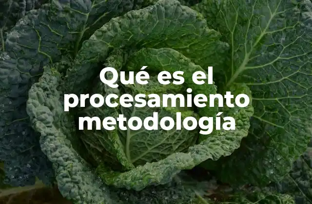 Qué es el Procesamiento Metodología