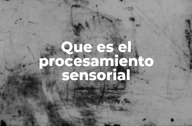 Que es el Procesamiento Sensorial