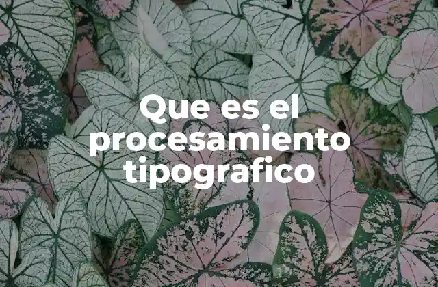 Que es el Procesamiento Tipografico