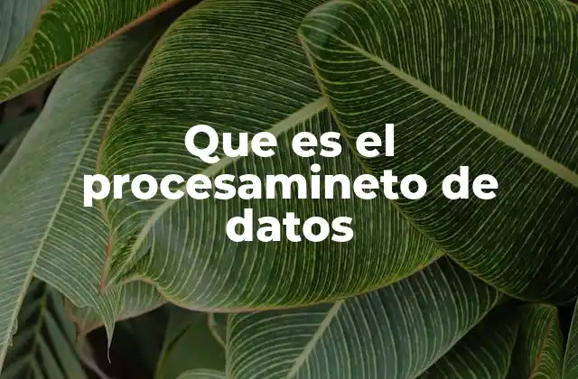 Que es el Procesamineto de Datos