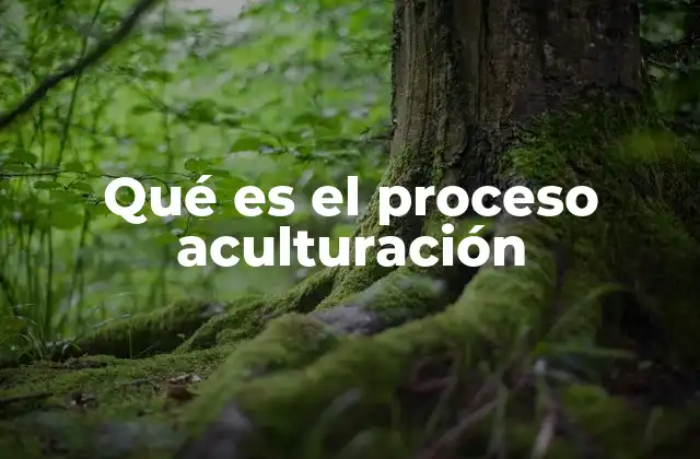 Qué es el Proceso Aculturación