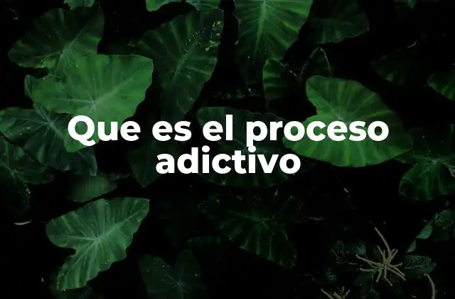 Que es el Proceso Adictivo