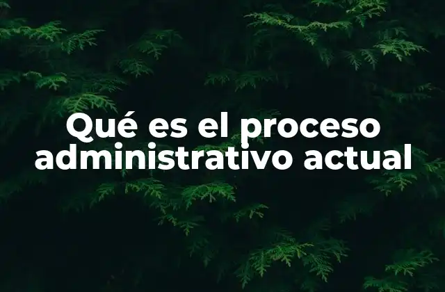 Qué es el Proceso Administrativo Actual