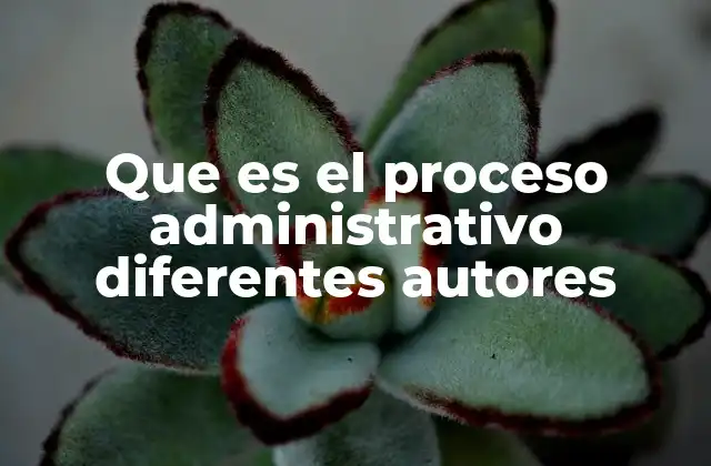 Que es el Proceso Administrativo Diferentes Autores