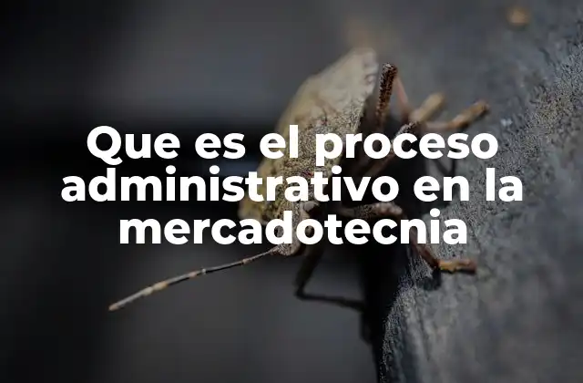 Que es el Proceso Administrativo en la Mercadotecnia