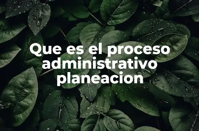 Que es el Proceso Administrativo Planeacion