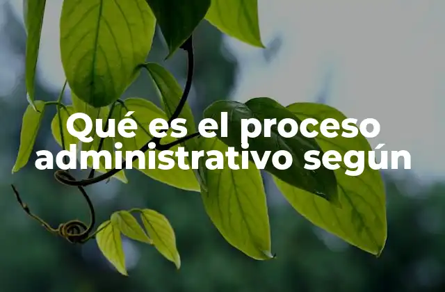 Qué es el Proceso Administrativo según