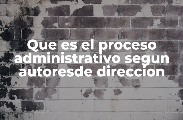 Que es el Proceso Administrativo Segun Autoresde Direccion