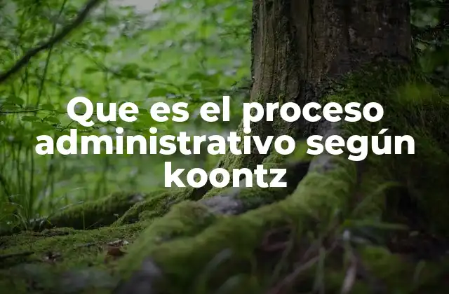 Que es el Proceso Administrativo según Koontz