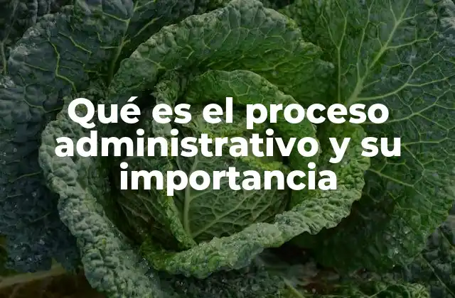 El rol del proceso administrativo en la toma de decisiones