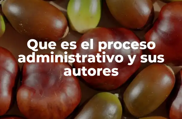 Que es el Proceso Administrativo y Sus Autores