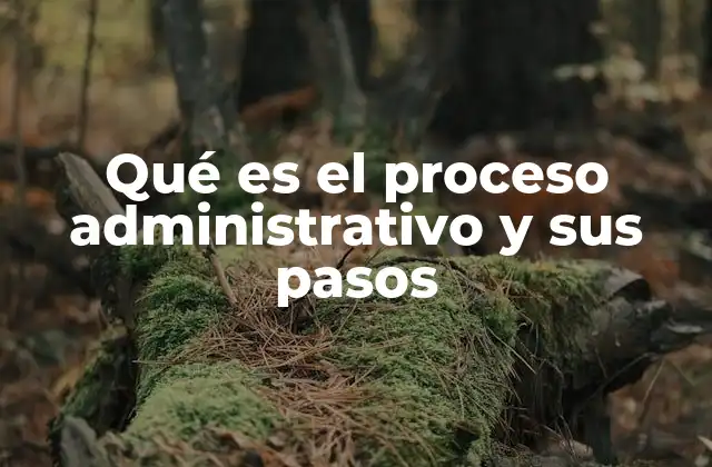 Qué es el Proceso Administrativo y Sus Pasos