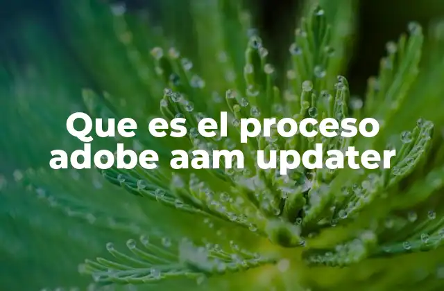 Que es el Proceso Adobe Aam Updater 2 Cómo funciona el proceso AAM Updater sin mencionar directamente la palabra clave