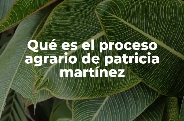 Qué es el Proceso Agrario de Patricia Martínez