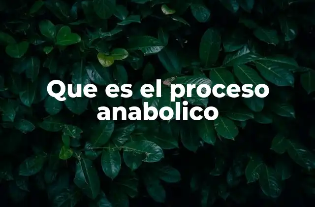 Que es el Proceso Anabolico