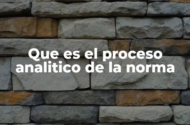 Que es el Proceso Analitico de la Norma