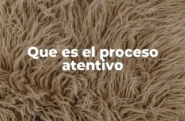 Que es el Proceso Atentivo