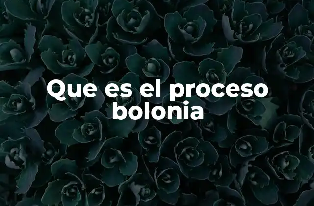 Que es el Proceso Bolonia