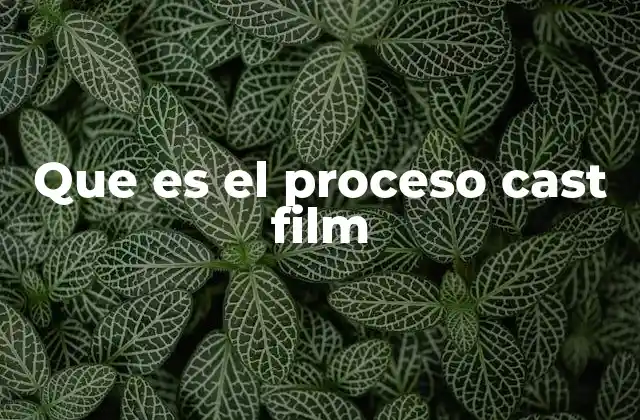 Cómo se fabrica una película mediante el proceso cast film