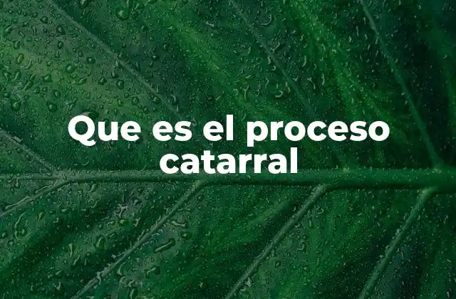 Que es el Proceso Catarral
