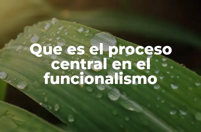 Que es el Proceso Central en el Funcionalismo