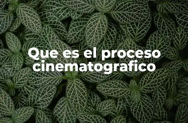 Que es el Proceso Cinematografico