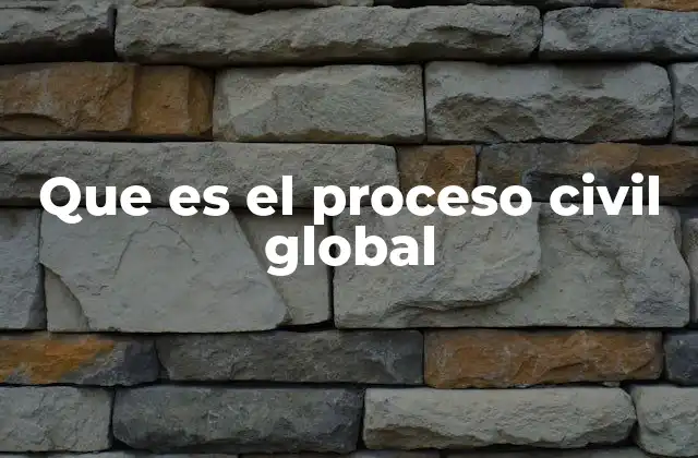 Que es el Proceso Civil Global
