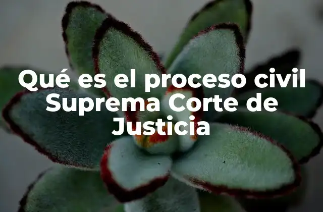 Qué es el Proceso Civil Suprema Corte de Justicia