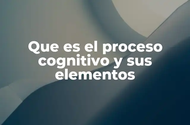 Que es el Proceso Cognitivo y Sus Elementos