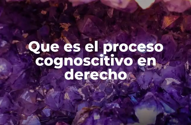Que es el Proceso Cognoscitivo en Derecho