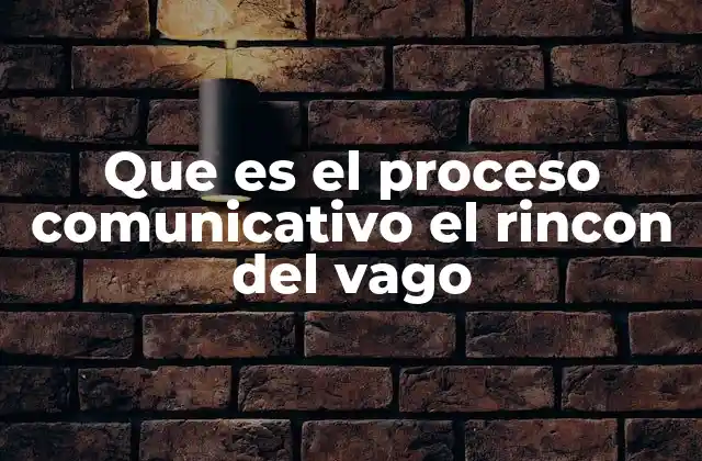 Que es el Proceso Comunicativo el Rincon Del Vago