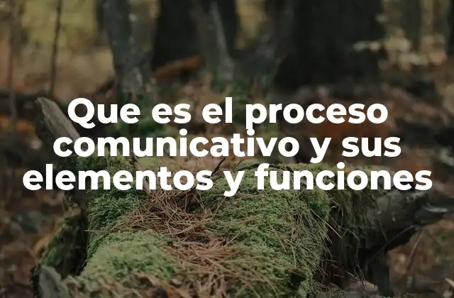 Que es el Proceso Comunicativo y Sus Elementos y Funciones
