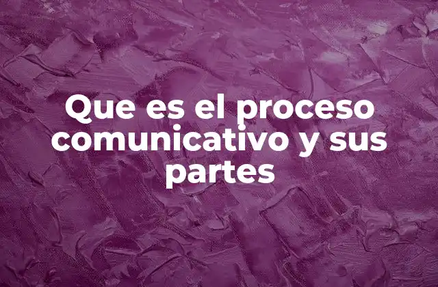 Que es el Proceso Comunicativo y Sus Partes
