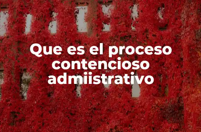 Que es el Proceso Contencioso Admiistrativo