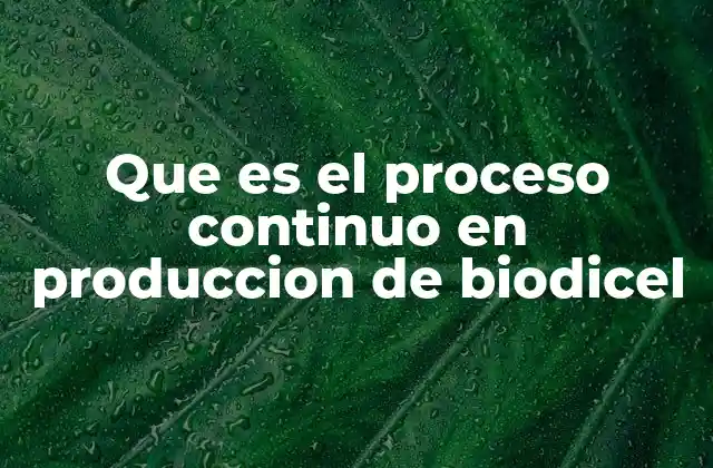 Que es el Proceso Continuo en Produccion de Biodicel 2 Características del proceso continuo en biodiesel