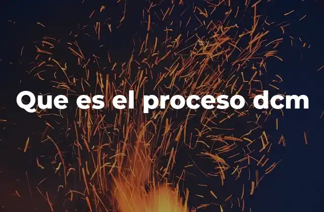 Que es el Proceso Dcm