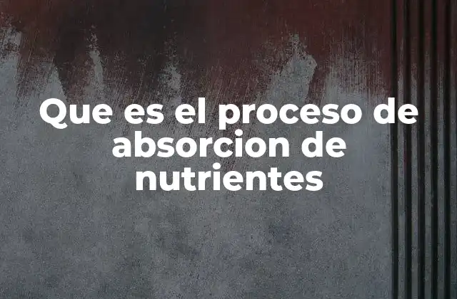 Que es el Proceso de Absorcion de Nutrientes
