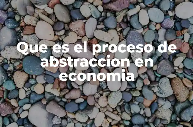 Que es el Proceso de Abstraccion en Economia