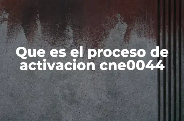 Que es el Proceso de Activacion Cne0044