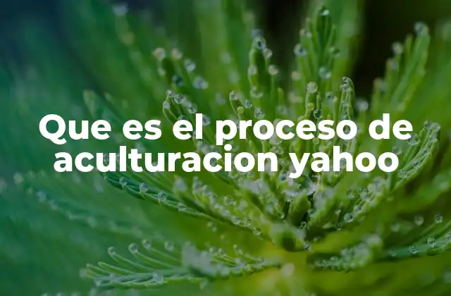 Que es el Proceso de Aculturacion Yahoo
