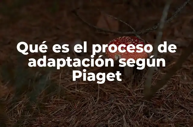 Qué es el Proceso de Adaptación según Piaget